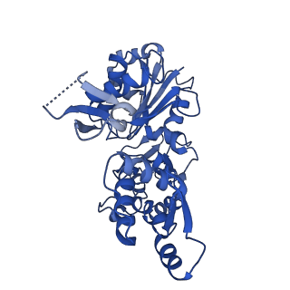 6844_5yu8_C_v1-0
Cofilin decorated actin filament