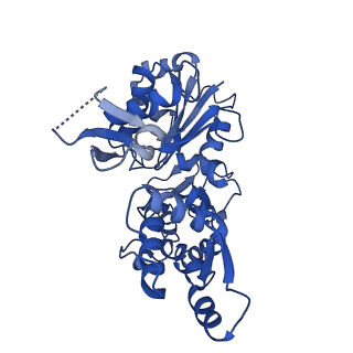 6844_5yu8_C_v1-1
Cofilin decorated actin filament