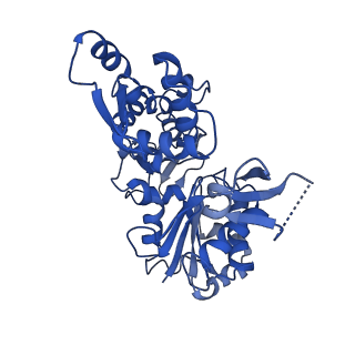 6844_5yu8_D_v1-0
Cofilin decorated actin filament