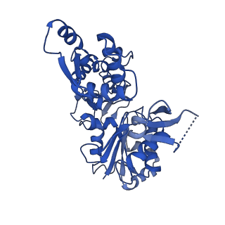 6844_5yu8_D_v1-1
Cofilin decorated actin filament