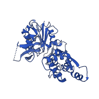6844_5yu8_E_v1-0
Cofilin decorated actin filament