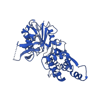 6844_5yu8_E_v1-1
Cofilin decorated actin filament