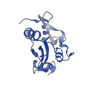 6844_5yu8_H_v1-0
Cofilin decorated actin filament