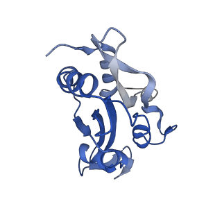 6844_5yu8_H_v1-1
Cofilin decorated actin filament