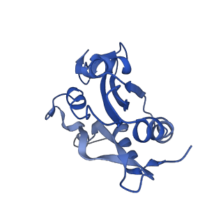 6844_5yu8_I_v1-0
Cofilin decorated actin filament