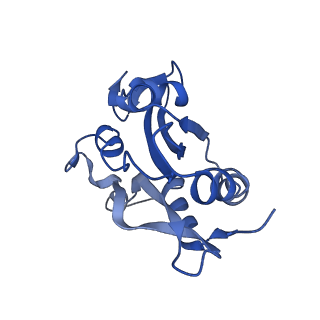 6844_5yu8_I_v1-1
Cofilin decorated actin filament