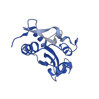 6844_5yu8_J_v1-1
Cofilin decorated actin filament