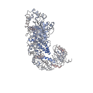 6845_5yud_A_v1-1
Flagellin derivative in complex with the NLR protein NAIP5