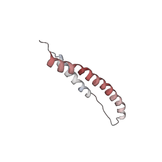 6845_5yud_C_v1-2
Flagellin derivative in complex with the NLR protein NAIP5