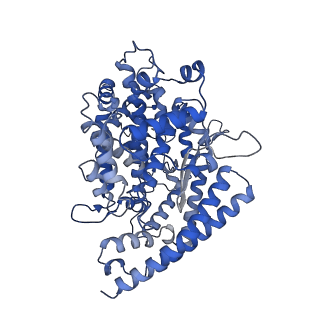 34120_7yv8_A_v1-1
Cryo-EM structure of SARS-CoV-2 Omicron BA.2 RBD in complex with golden hamster ACE2 (local refinement)