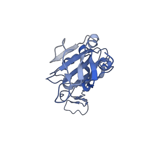 34120_7yv8_B_v1-1
Cryo-EM structure of SARS-CoV-2 Omicron BA.2 RBD in complex with golden hamster ACE2 (local refinement)