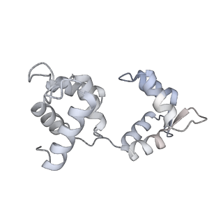 34121_7yv9_C_v1-0
Cryo-EM structure of full-length Myosin Va in the autoinhibited state
