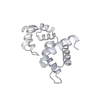 34121_7yv9_K_v1-0
Cryo-EM structure of full-length Myosin Va in the autoinhibited state