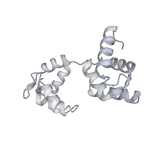 34121_7yv9_M_v1-0
Cryo-EM structure of full-length Myosin Va in the autoinhibited state
