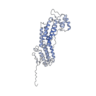 34121_7yv9_X_v1-0
Cryo-EM structure of full-length Myosin Va in the autoinhibited state