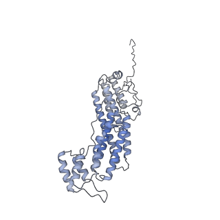 34121_7yv9_Y_v1-0
Cryo-EM structure of full-length Myosin Va in the autoinhibited state
