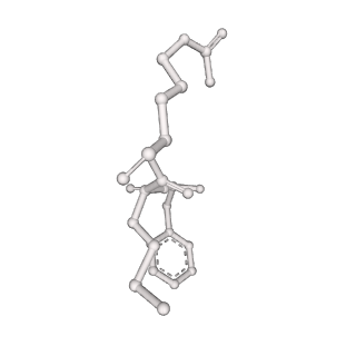 34122_7yvb_Q_v1-2
Aplysia californica FaNaC in ligand bound state