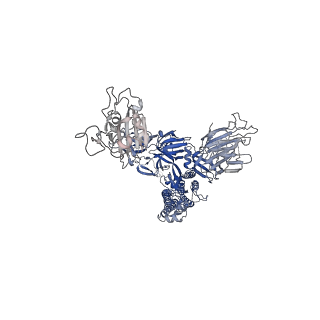 34126_7yvg_B_v1-0
Omicron BA.4/5 SARS-CoV-2 S in complex with TH132 Fab
