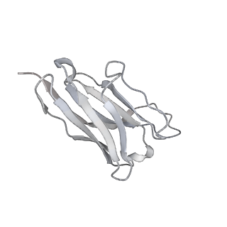 34128_7yvi_K_v1-0
Omicron BA.4/5 SARS-CoV-2 S in complex with TH236 Fab