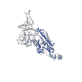 34130_7yvk_A_v1-0
Omicron BA.4/5 SARS-CoV-2 S in complex with TH272 Fab