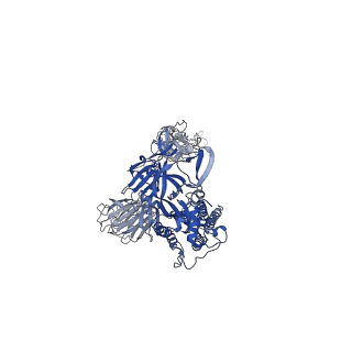 34133_7yvn_C_v1-0
Omicron BA.4/5 SARS-CoV-2 S in complex with TH281 Fab