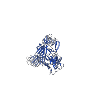 34134_7yvo_C_v1-0
Omicron BA.4/5 SARS-CoV-2 S in complex with TH027/132 Fab