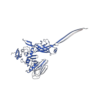 34136_7yvq_G_v1-1
Complex structure of Clostridioides difficile binary toxin folded CDTa-bound CDTb-pore (short).