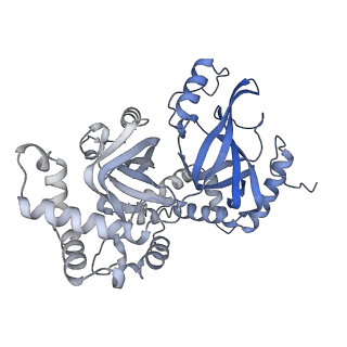 34136_7yvq_H_v1-1
Complex structure of Clostridioides difficile binary toxin folded CDTa-bound CDTb-pore (short).