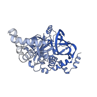 34137_7yvs_H_v1-1
Complex structure of Clostridioides difficile binary toxin unfolded CDTa-bound CDTb-pore (short).