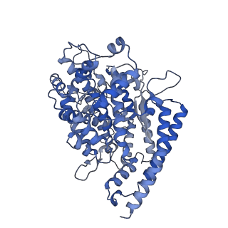 34138_7yvu_A_v1-1
Cryo-EM structure of SARS-CoV-2 Omicron BA.2 RBD in complex with mouse ACE2 (local refinement)