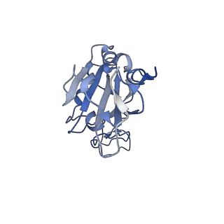 34138_7yvu_B_v1-1
Cryo-EM structure of SARS-CoV-2 Omicron BA.2 RBD in complex with mouse ACE2 (local refinement)