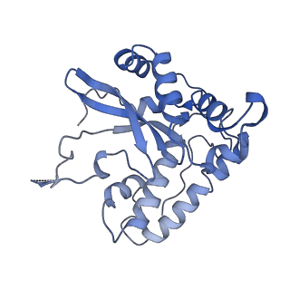 10958_6yw5_55_v1-0
The structure of the small subunit of the mitoribosome from Neurospora crassa