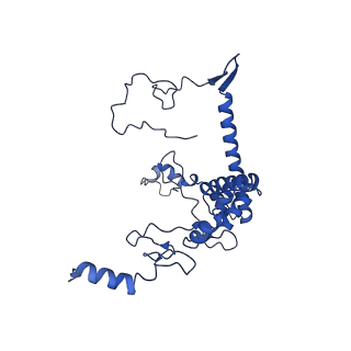 10958_6yw5_66_v1-0
The structure of the small subunit of the mitoribosome from Neurospora crassa