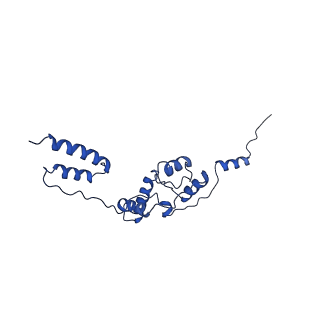 10958_6yw5_77_v1-0
The structure of the small subunit of the mitoribosome from Neurospora crassa