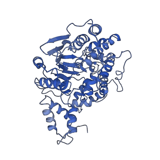 10958_6yw5_88_v1-0
The structure of the small subunit of the mitoribosome from Neurospora crassa