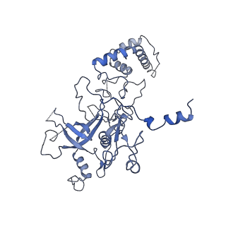 10958_6yw5_AA_v1-0
The structure of the small subunit of the mitoribosome from Neurospora crassa