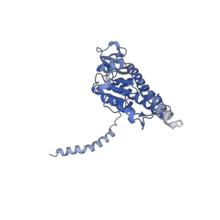 10958_6yw5_BB_v1-0
The structure of the small subunit of the mitoribosome from Neurospora crassa