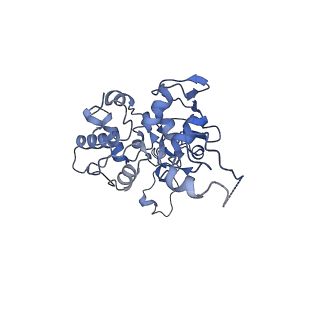 10958_6yw5_DD_v1-0
The structure of the small subunit of the mitoribosome from Neurospora crassa