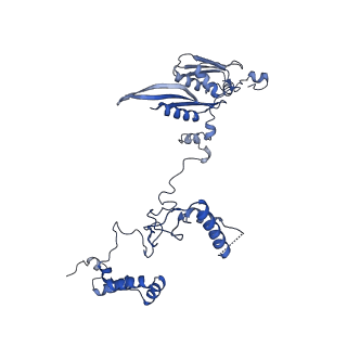 10958_6yw5_EE_v1-0
The structure of the small subunit of the mitoribosome from Neurospora crassa