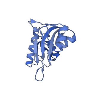 10958_6yw5_HH_v1-0
The structure of the small subunit of the mitoribosome from Neurospora crassa