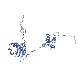 10958_6yw5_II_v1-0
The structure of the small subunit of the mitoribosome from Neurospora crassa