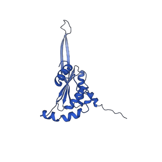 10958_6yw5_JJ_v1-0
The structure of the small subunit of the mitoribosome from Neurospora crassa