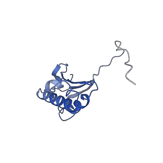 10958_6yw5_KK_v1-0
The structure of the small subunit of the mitoribosome from Neurospora crassa
