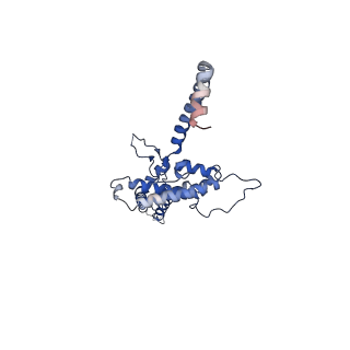 10958_6yw5_OO_v1-0
The structure of the small subunit of the mitoribosome from Neurospora crassa