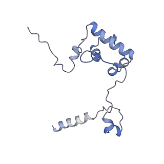 10958_6yw5_RR_v1-0
The structure of the small subunit of the mitoribosome from Neurospora crassa