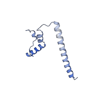 10958_6yw5_TT_v1-0
The structure of the small subunit of the mitoribosome from Neurospora crassa