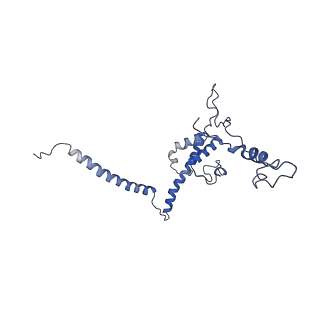 10958_6yw5_UU_v1-0
The structure of the small subunit of the mitoribosome from Neurospora crassa