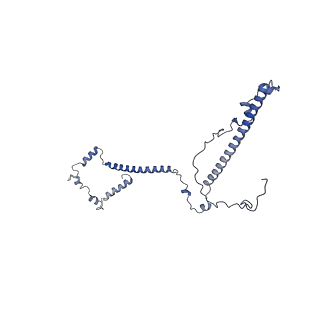 10958_6yw5_VV_v1-0
The structure of the small subunit of the mitoribosome from Neurospora crassa
