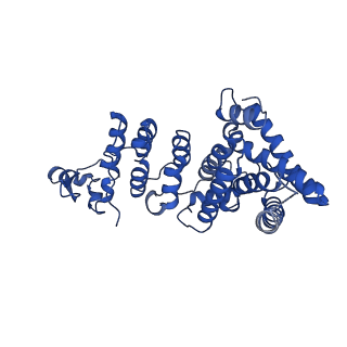 10958_6yw5_WW_v1-0
The structure of the small subunit of the mitoribosome from Neurospora crassa