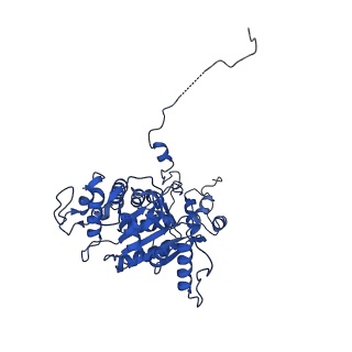 10958_6yw5_XX_v1-0
The structure of the small subunit of the mitoribosome from Neurospora crassa